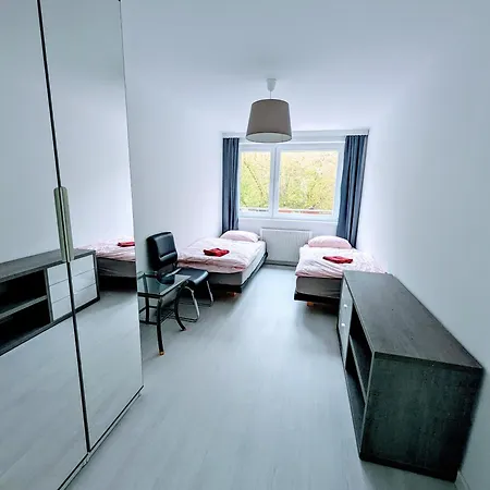 Wunderschoene Zentral Gelegene Terrassenwohnung